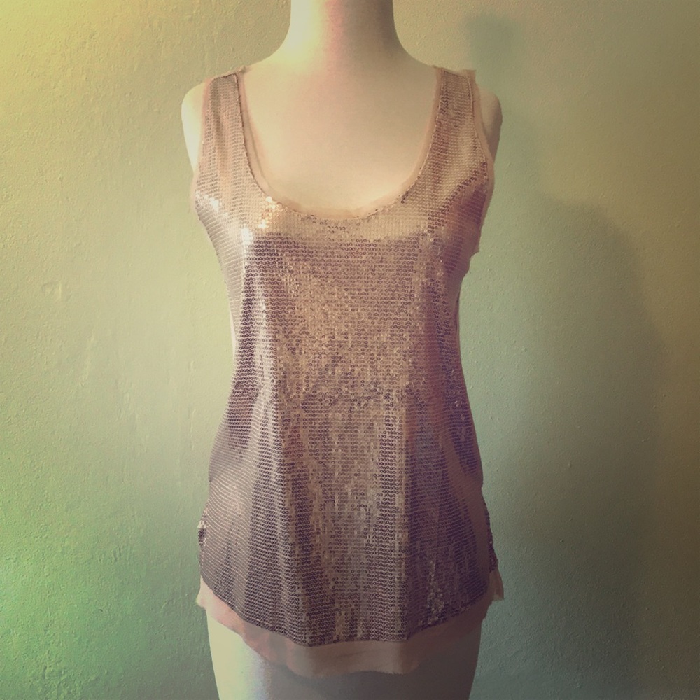 NWT Zara Sequined Sleeveless Pink Blouse
